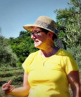 Woman wearing a yellow shirt and hat standing among olive trees in an olive grove. - Olive Oil Times