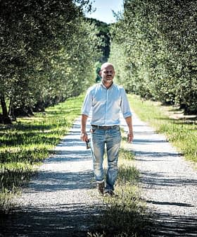 A man walking along a gravel path in an olive grove with trees on either side. - Olive Oil Times