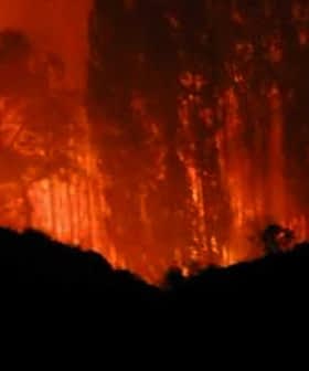 A forest fire burning in the darkness, with flames and smoke visible among trees. - Olive Oil Times