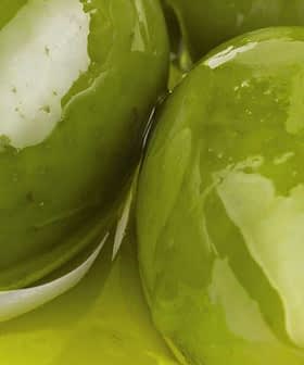 Three green olives placed in a small dish with olive oil. - Olive Oil Times