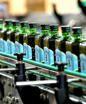 Row of green glass bottles filled with olive oil on a production line in a factory. - Olive Oil Times