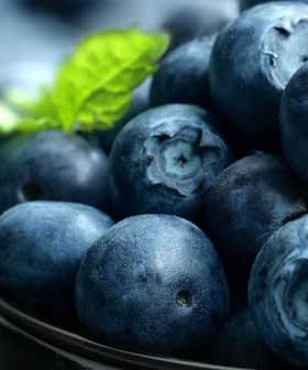 A close-up view of fresh blueberries in a bowl with mint leaves for garnish. - Olive Oil Times