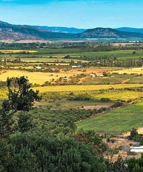 Expansive agricultural landscape featuring fields and mountains in the background. - Olive Oil Times