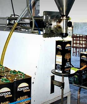 Olive oil production setup with boxes of Karpos olives and filling machine in a processing area. - Olive Oil Times