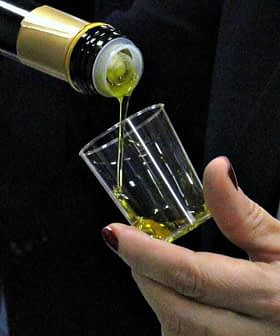 A person pouring olive oil from a bottle into a small glass cup during a tasting event. - Olive Oil Times