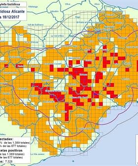 Map showing prospection zones for Xylella Fastidiosa in Alicante with color-coded areas. - Olive Oil Times