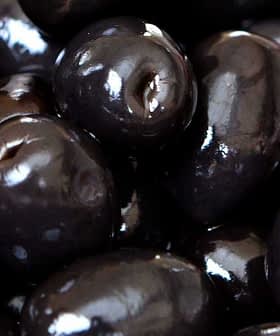 A close-up view of shiny black olives piled together in a cluster. - Olive Oil Times