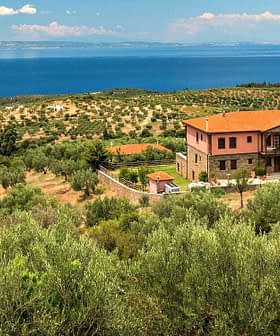 A house surrounded by olive trees on a hillside with a view of the sea in the background. - Olive Oil Times
