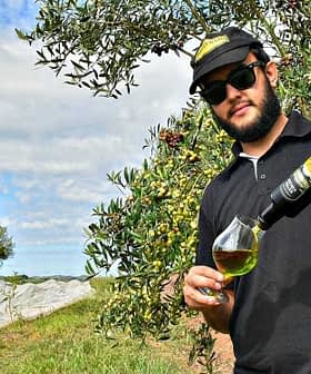 Man in sunglasses pouring olive oil from a bottle into a glass while standing among olive trees. - Olive Oil Times
