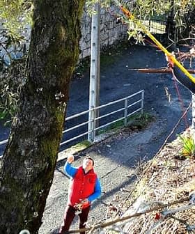 Individuals participating in the olive harvesting process using tools to collect olives from trees. - Olive Oil Times
