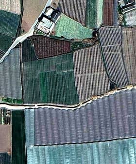 Aerial view showing a patchwork of agricultural fields with various crops and a road. - Olive Oil Times
