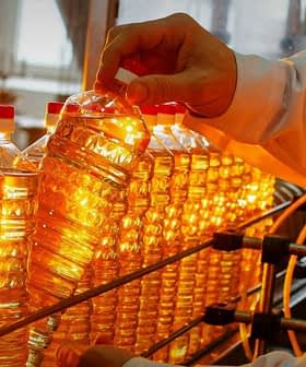 A person holding a bottle of cooking oil on a production line with multiple bottles in the background. - Olive Oil Times