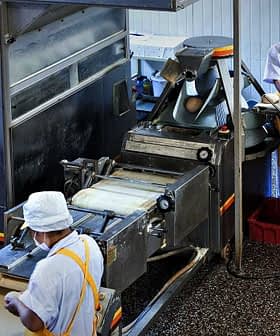 Workers operating food processing machinery in a factory setting with various equipment. - Olive Oil Times