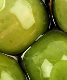 Close-up of green olives submerged in brine with a glossy surface. - Olive Oil Times