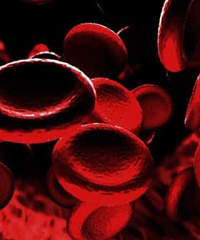 Illustration of red blood cells moving through a blood vessel in a digital representation. - Olive Oil Times