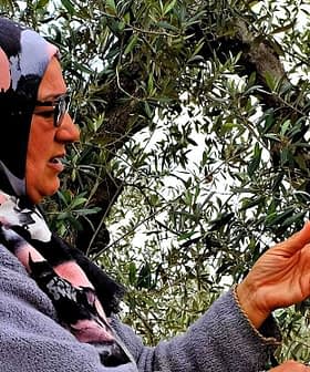 Woman wearing a hijab and glasses standing near an olive tree, gesturing with her hands. - Olive Oil Times