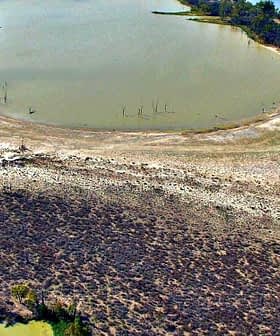 Aerial image showing a dry lakebed with patches of green vegetation and a winding waterway. - Olive Oil Times