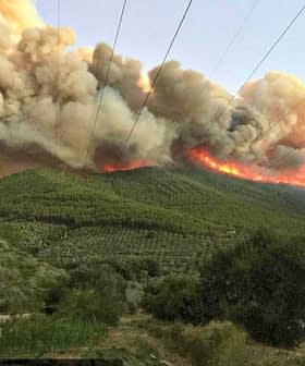 Smoke and flames rising from a wildfire in a mountainous region with trees below. - Olive Oil Times