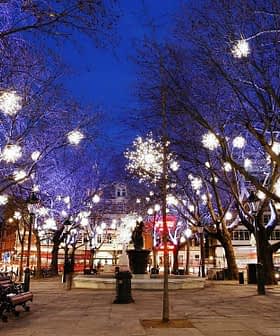 City square with illuminated trees and light decorations during nighttime. - Olive Oil Times