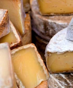 Various types of cheese displayed, including wedges and rounds with different textures and colors. - Olive Oil Times