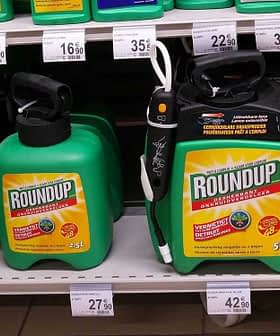 Various containers of Roundup weed killer displayed on a store shelf with price tags. - Olive Oil Times