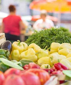 Assorted fresh vegetables including tomatoes, peppers, and cucumbers displayed at a market stall. - Olive Oil Times