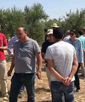 A group of people gathered in an olive grove, observing and discussing among themselves. - Olive Oil Times