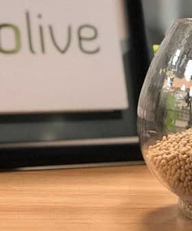 A glass bowl filled with small beige seeds placed on a wooden surface near a Biolive sign. - Olive Oil Times