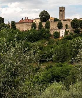 A hilltop village with stone buildings and a tower, surrounded by olive trees and greenery. - Olive Oil Times