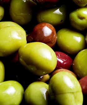 A bowl containing a variety of green and brown olives with leaves. - Olive Oil Times