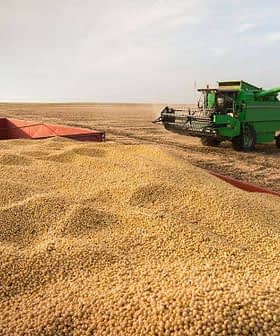 A green combine harvester working in a field with a trailer filled with harvested crops. - Olive Oil Times