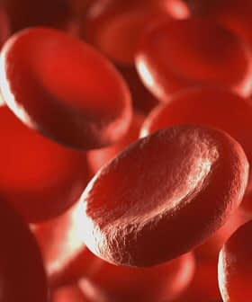 Close-up view of red blood cells in a microscopic image showing their round shape and texture. - Olive Oil Times