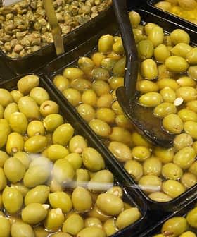 Multiple trays containing different types of olives, including green and black varieties, with serving utensils. - Olive Oil Times