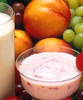 A glass of milk and a bowl of yogurt surrounded by various fruits and vegetables. - Olive Oil Times