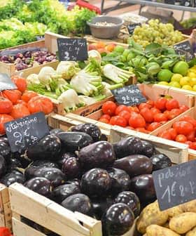 Assorted fresh vegetables displayed in wooden crates at a market stall, including tomatoes, cucumbers, and eggplants. - Olive Oil Times