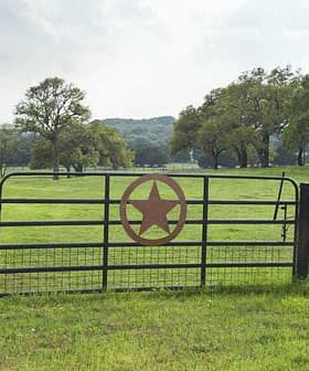 A metal gate featuring a star design in the center, set in a grassy field. - Olive Oil Times