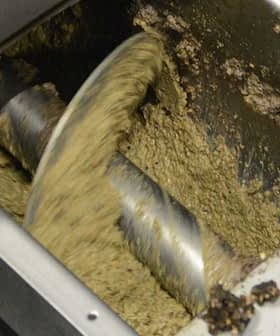Inside view of an oil extraction machine showing mixing blades and oil paste. - Olive Oil Times