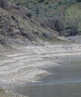 Riverbank showing vegetation and distinct layers of soil along the water's edge. - Olive Oil Times