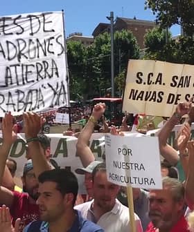 Crowd of people holding signs during a protest in Jaén, Spain, advocating for agricultural issues. - Olive Oil Times