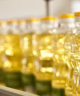 Row of clear plastic bottles filled with vegetable oil on a production line. - Olive Oil Times