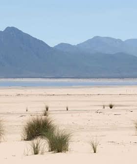 A dry landscape featuring sparse vegetation and distant mountains under a clear blue sky. - Olive Oil Times