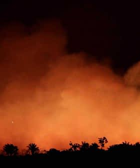 Thick smoke and flames rising in a dark environment, creating an orange glow. - Olive Oil Times