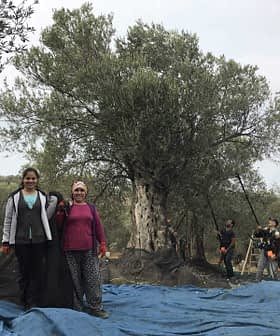 Two women standing in an olive grove with olive trees and workers in the background. - Olive Oil Times