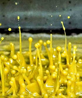 Yellow paint splashes creating droplets in an abstract pattern. - Olive Oil Times