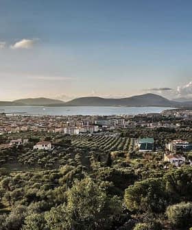 A panoramic view of a coastal landscape featuring olive groves and a distant shoreline under a cloudy sky. - Olive Oil Times