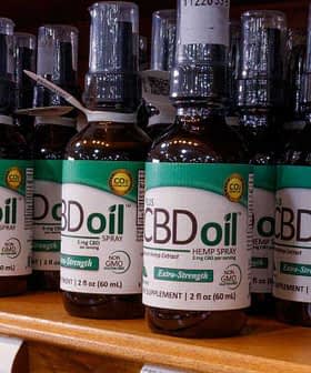 Row of CBD oil bottles with various labels displayed on a wooden shelf in a store. - Olive Oil Times