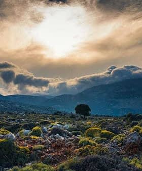 A landscape featuring a tree, rocky terrain, and a cloudy sky with sunlight breaking through. - Olive Oil Times
