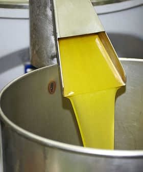 Stream of yellow olive oil being poured from a metal spout into a metal container. - Olive Oil Times