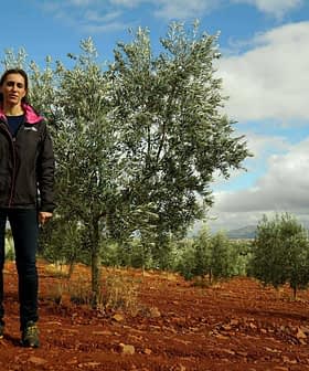 Individual standing in an olive grove with green trees and red soil in the background. - Olive Oil Times