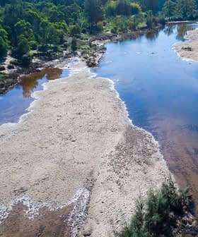 Aerial view of a river featuring sandbanks and surrounding vegetation. - Olive Oil Times